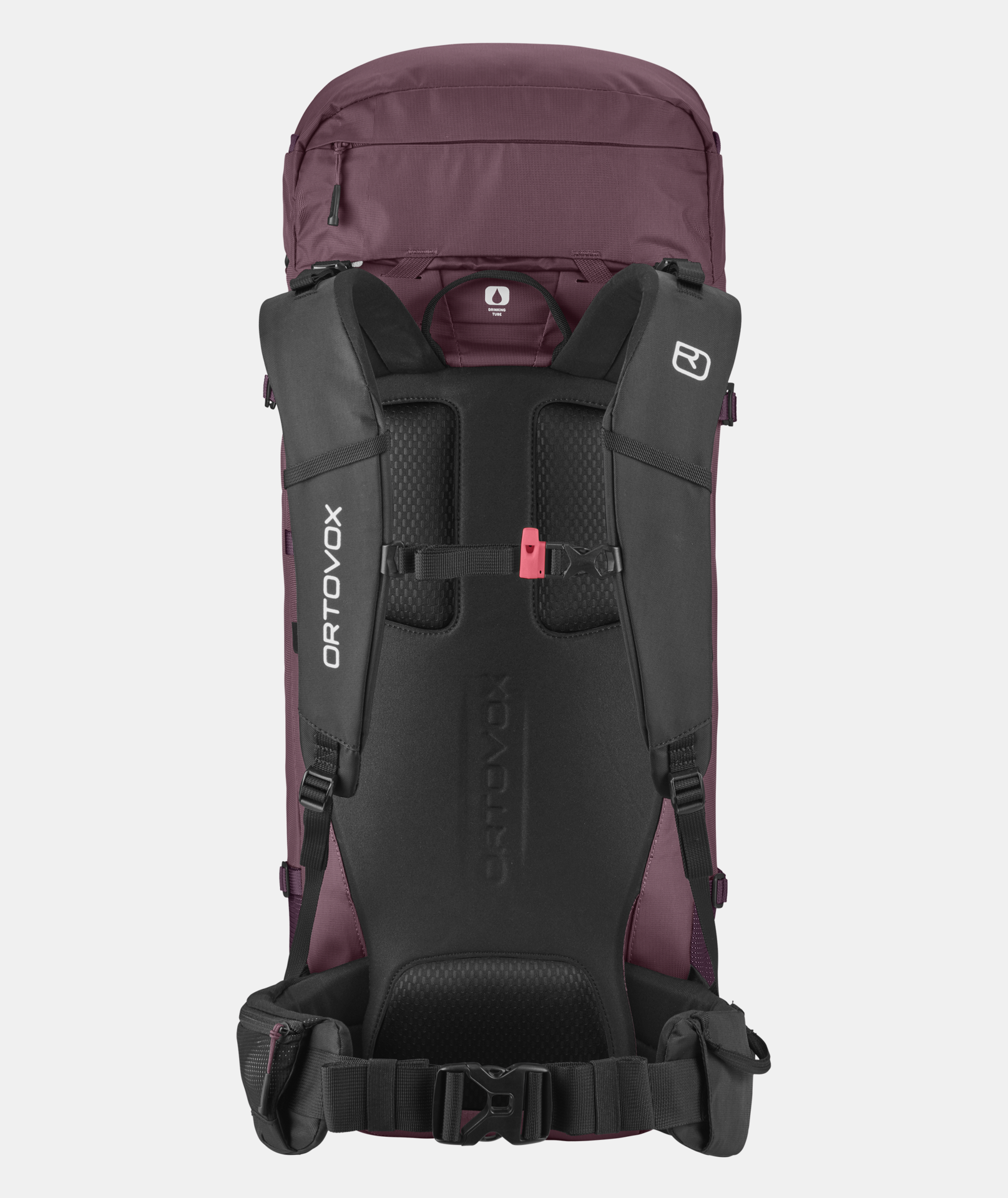 Ortovox peak light 30 top